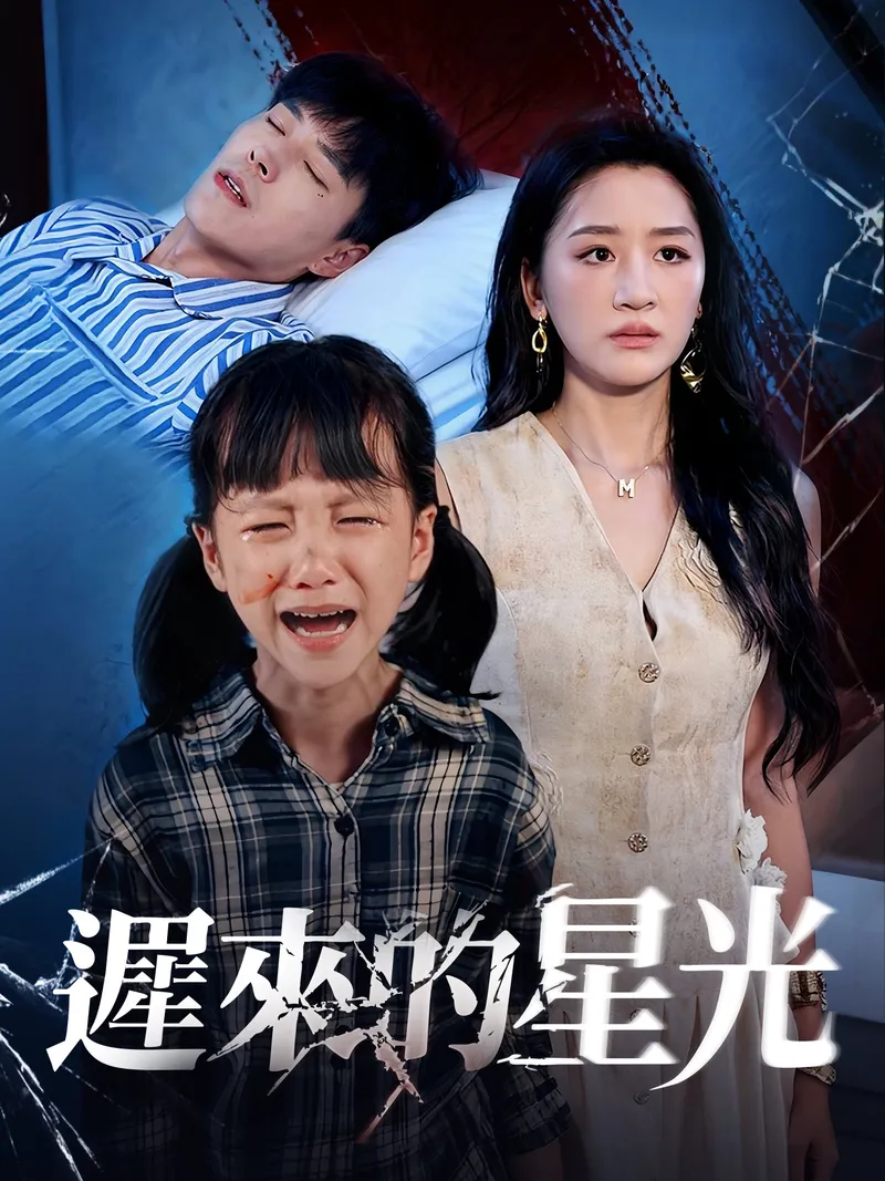 《遲來的星光》封面