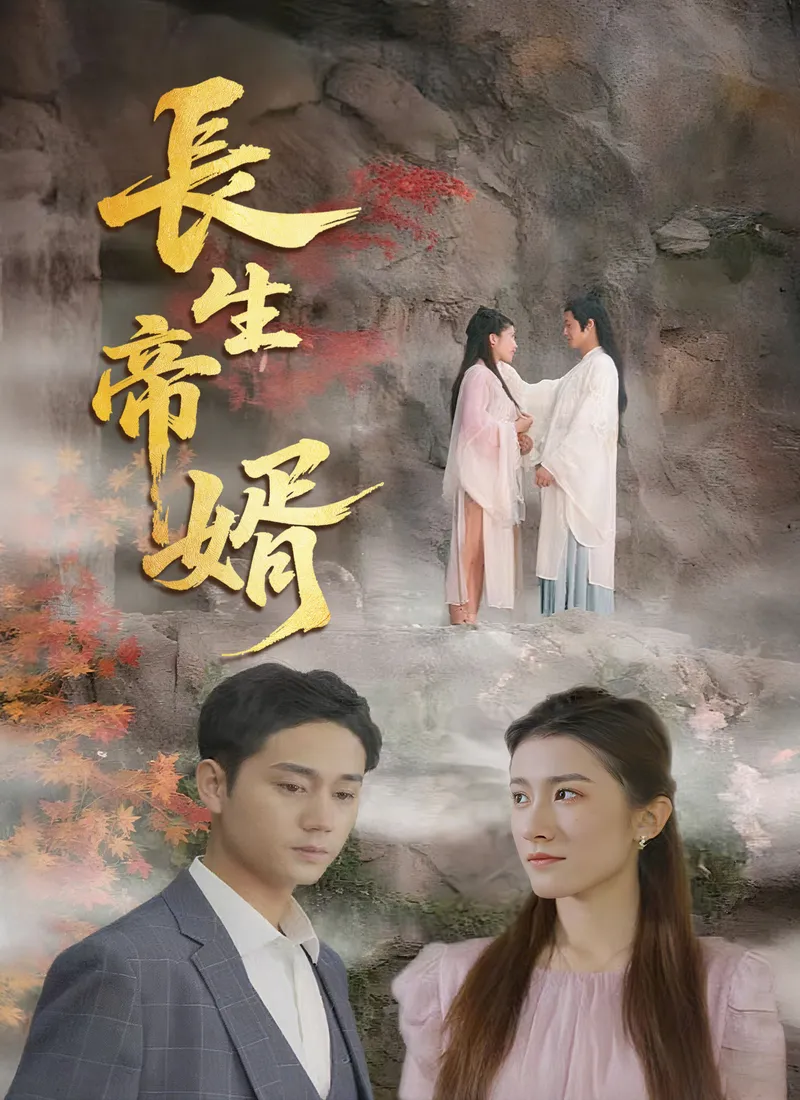 《長生帝婿》封面