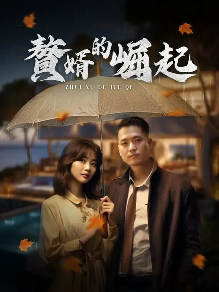 《贅婿的崛起》封面