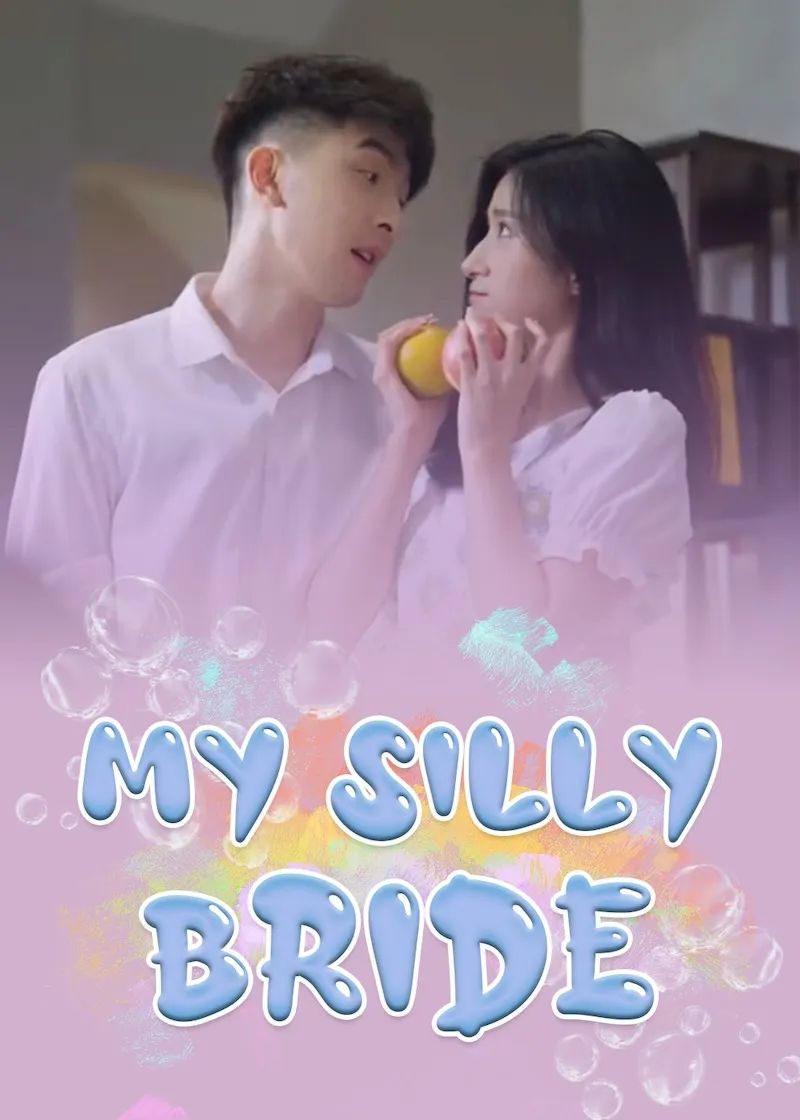 My Silly Bride cover