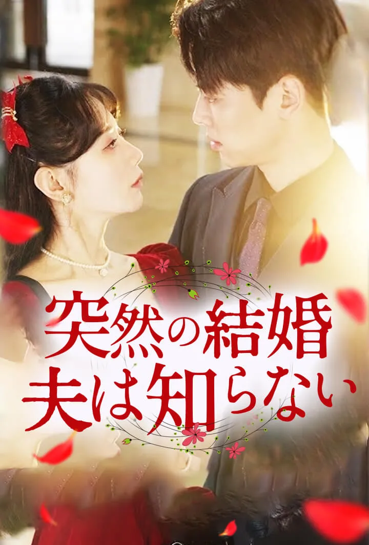 「突然の結婚、夫は知らない」のカバー画像