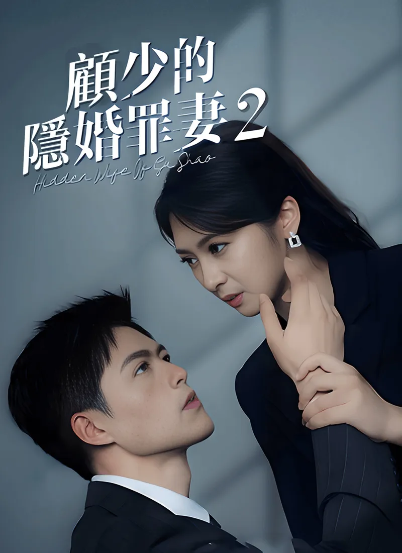 《顧少的隱婚罪妻2》封面
