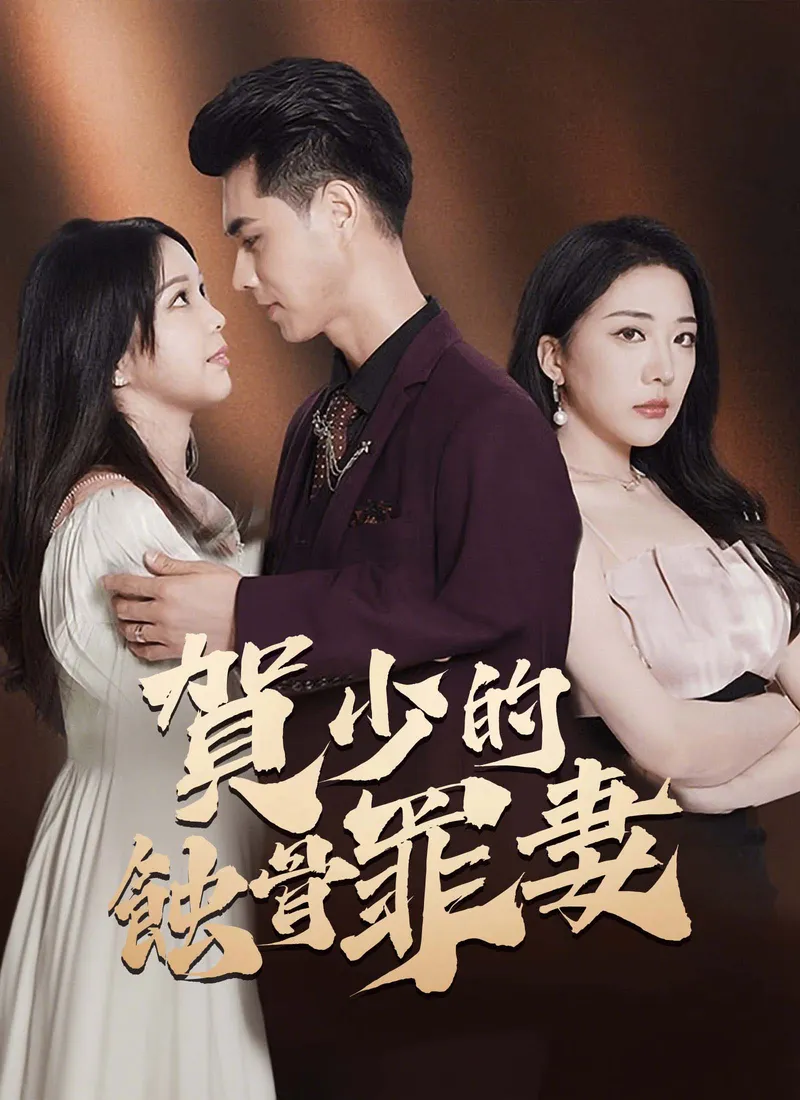 《賀少的蝕骨罪妻》封面