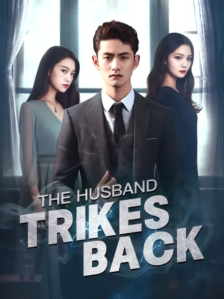 The Husband Strikes Back cover