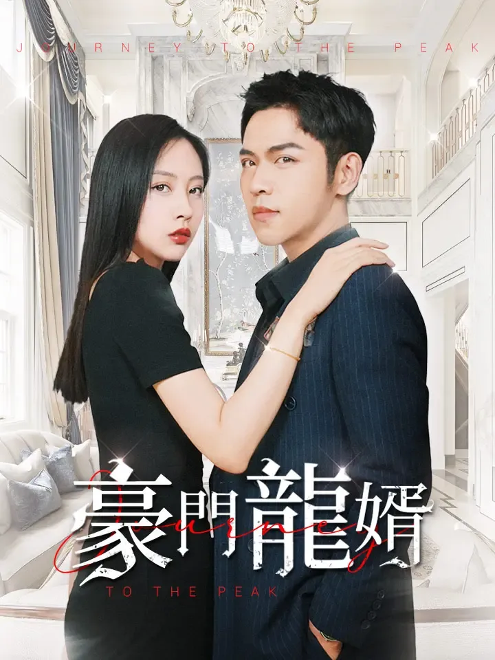 《豪門龍婿》封面