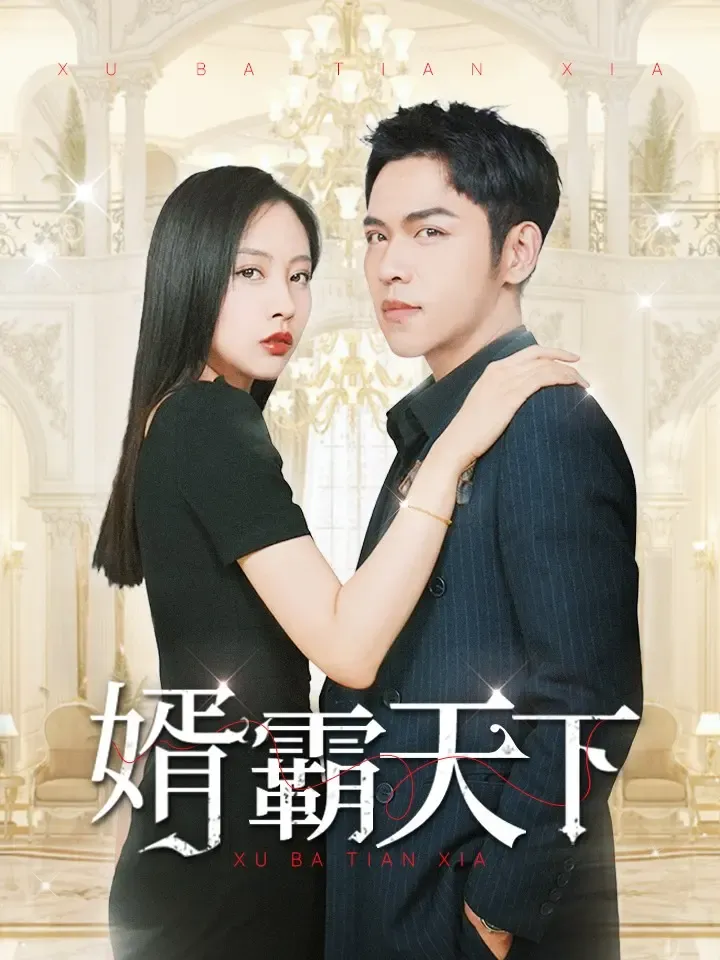 《婿霸天下》封面