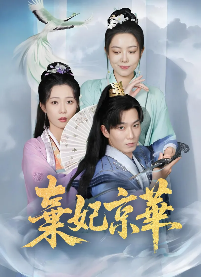 《棄妃京華》封面