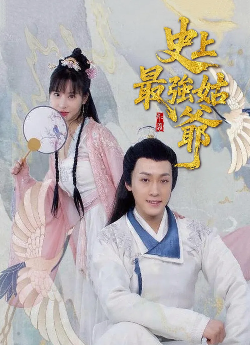《史上最強姑爺》封面