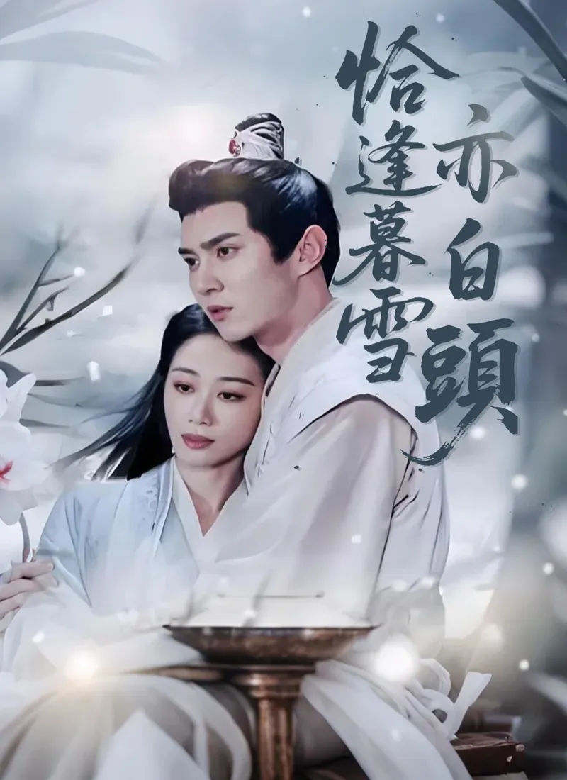 《恰逢暮雪亦白頭》封面