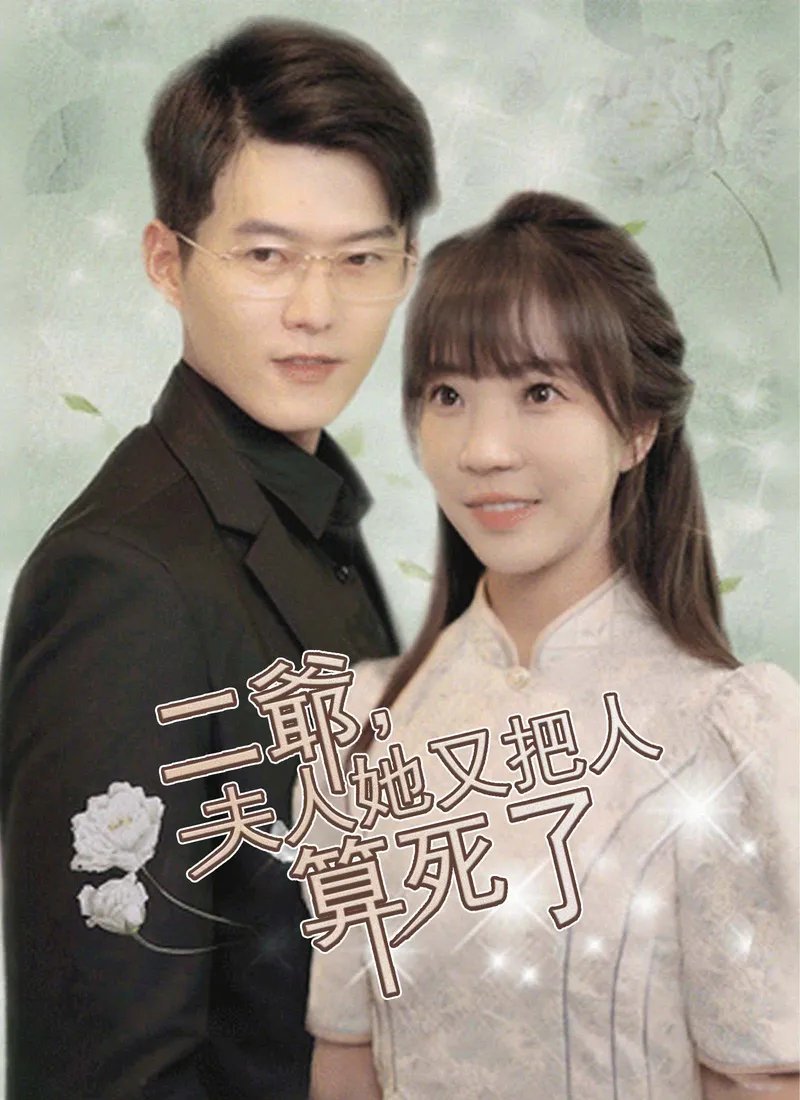 《二爺，夫人她又把人算死了》封面