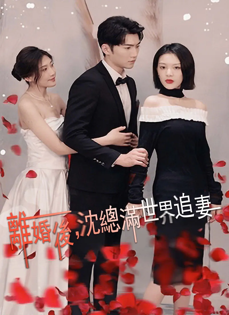 《離婚後，沈總滿世界追妻》封面