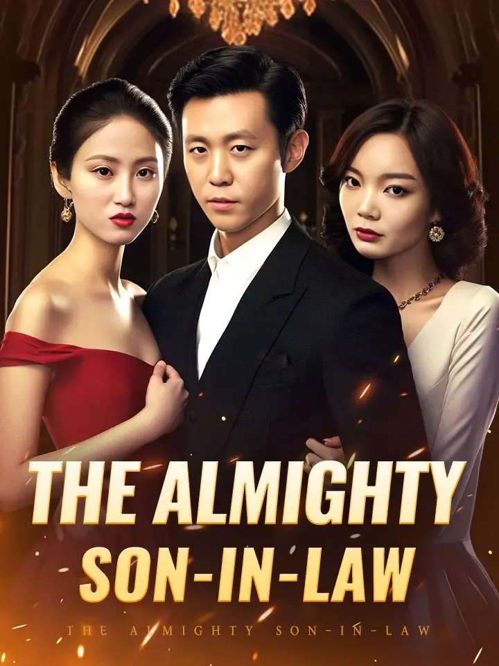 The Almighty Son-in-law cover