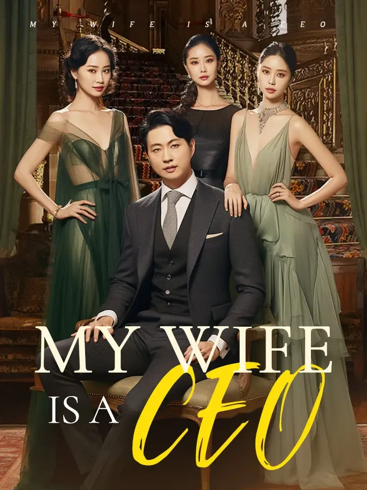 My Wife Is a CEO cover