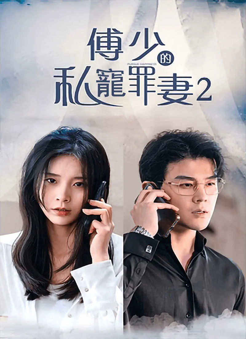 《傅少的私寵罪妻2》封面