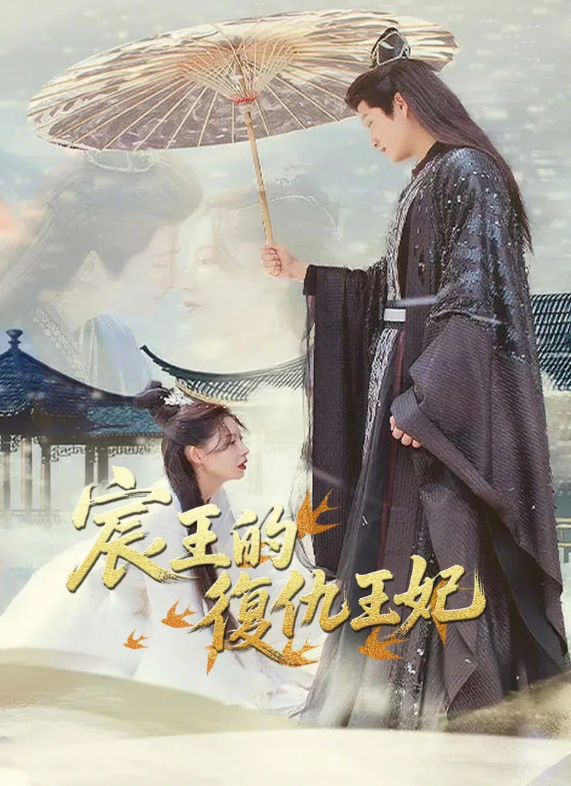《宸王的復仇王妃》封面