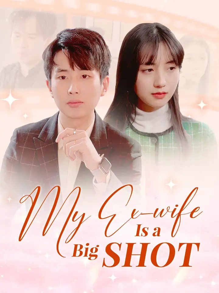 My Ex-wife Is A Big Shot cover
