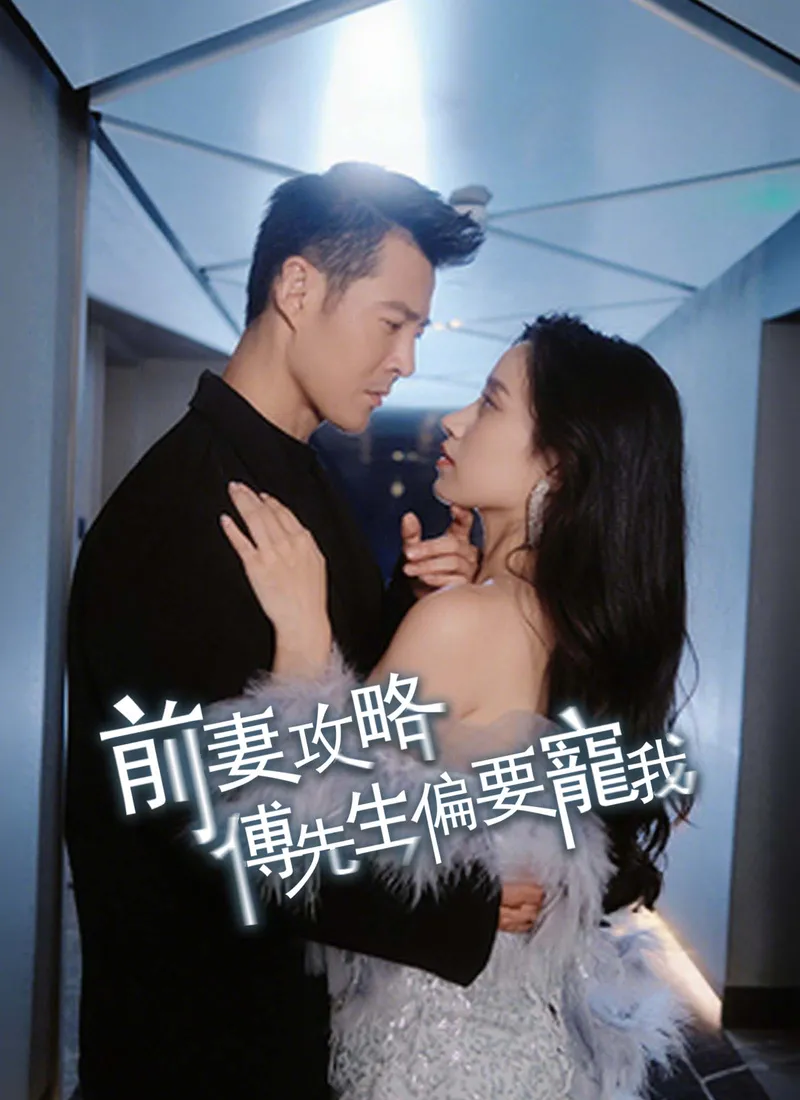 《前妻攻略：傅先生偏要寵我》封面