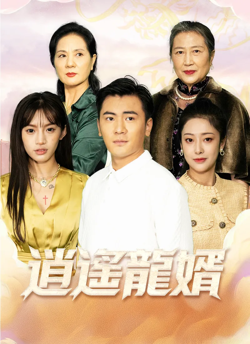 《逍遙龍婿》封面