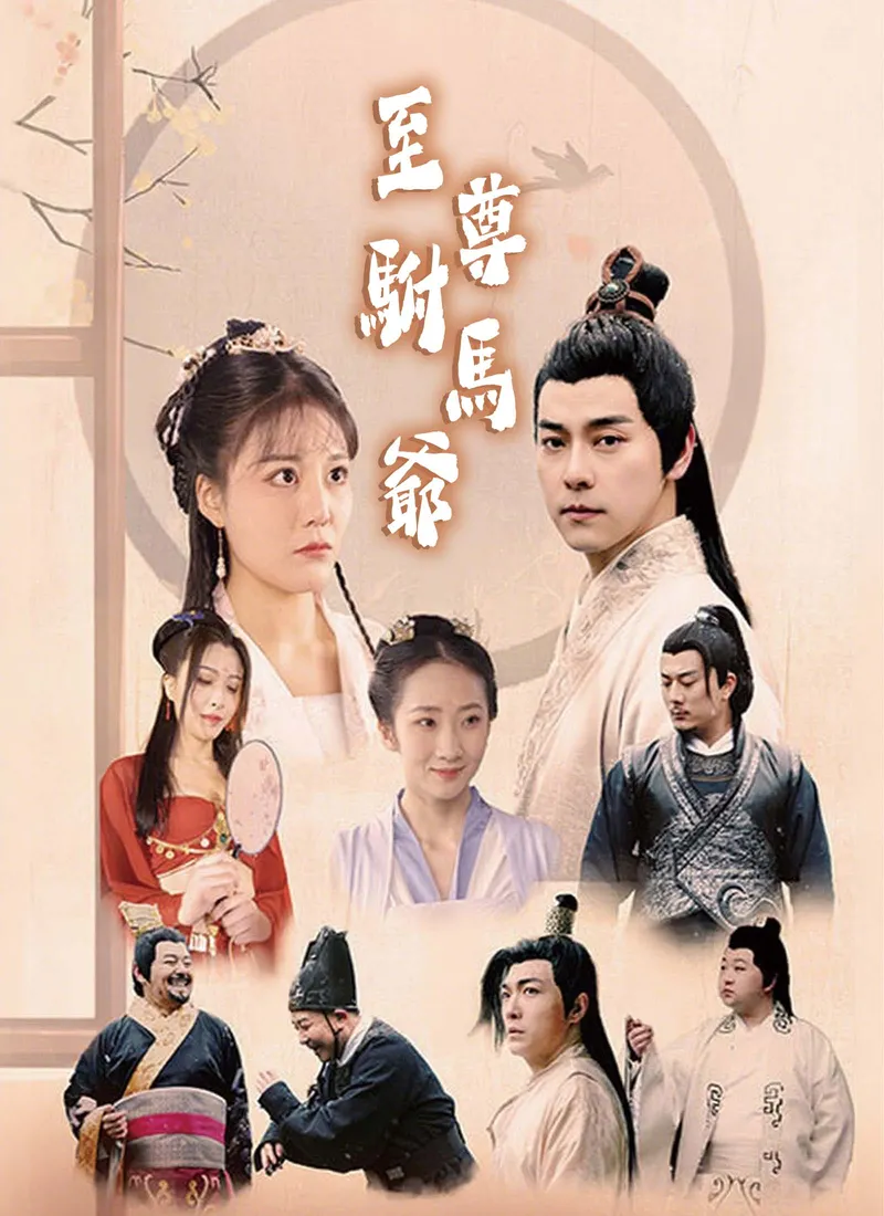 《至尊駙馬爺》封面
