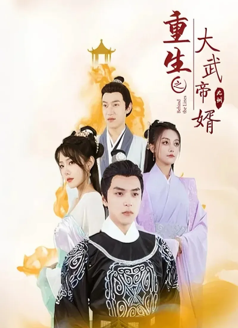 《重生之大武帝婿》封面