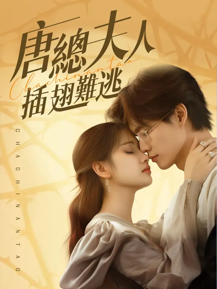 《唐總夫人插翅難逃》封面