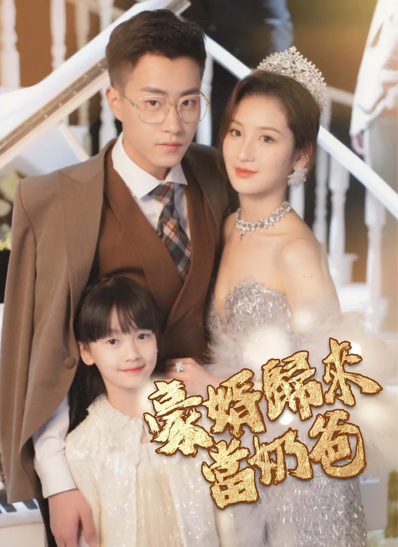 《豪婿歸來當奶爸》封面