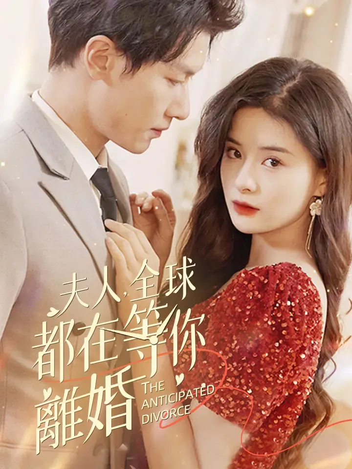 《夫人，全球都在等你離婚》封面