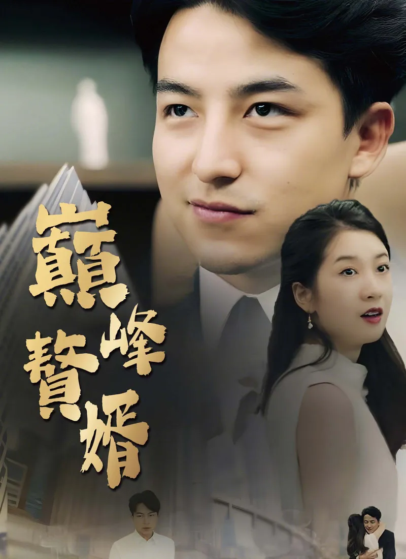 《巔峰贅婿》封面