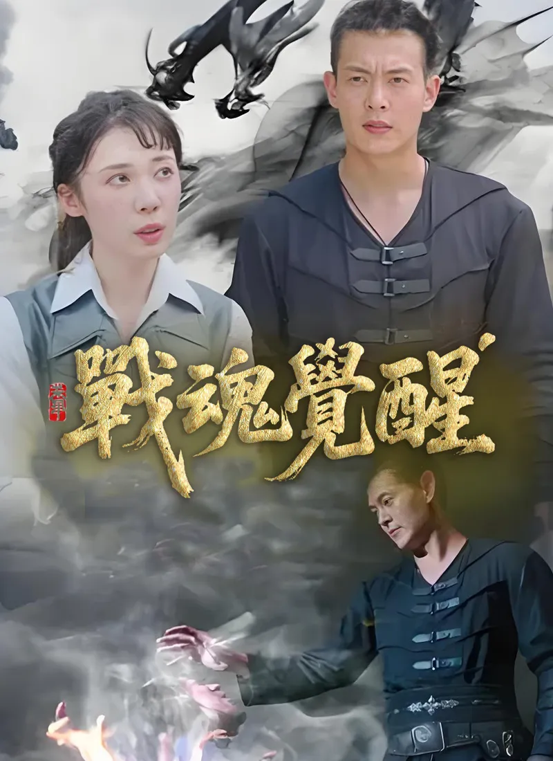 《戰魂覺醒》封面