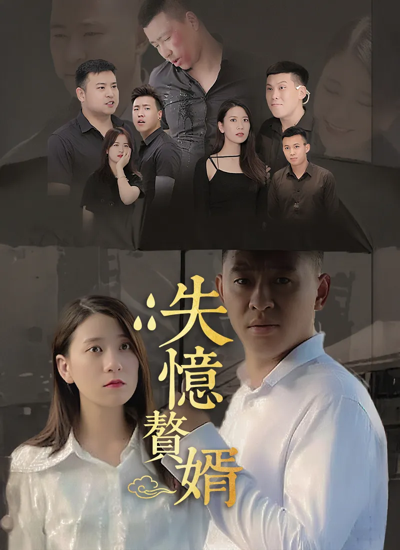 《失憶贅婿》封面