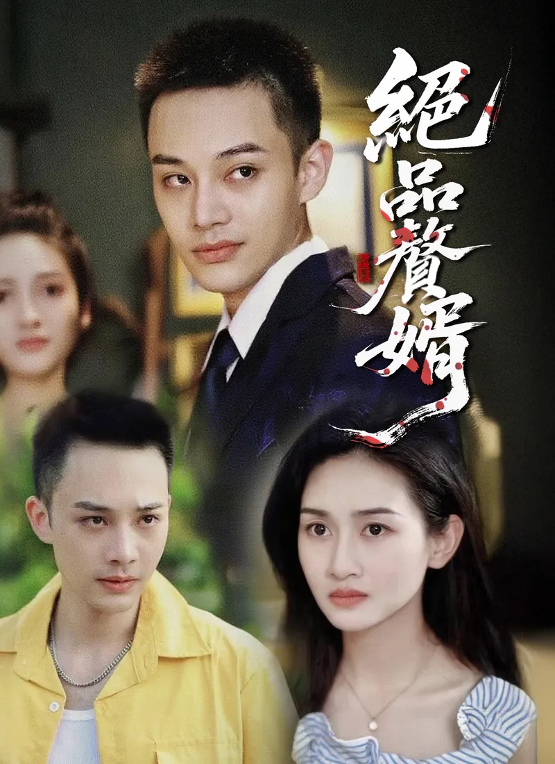 《絕品贅婿》封面