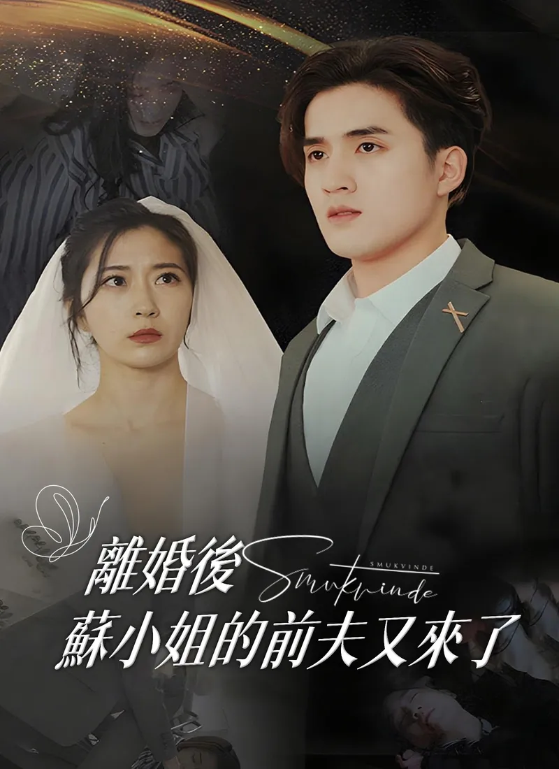 《離婚後，蘇小姐的前夫又來了》封面