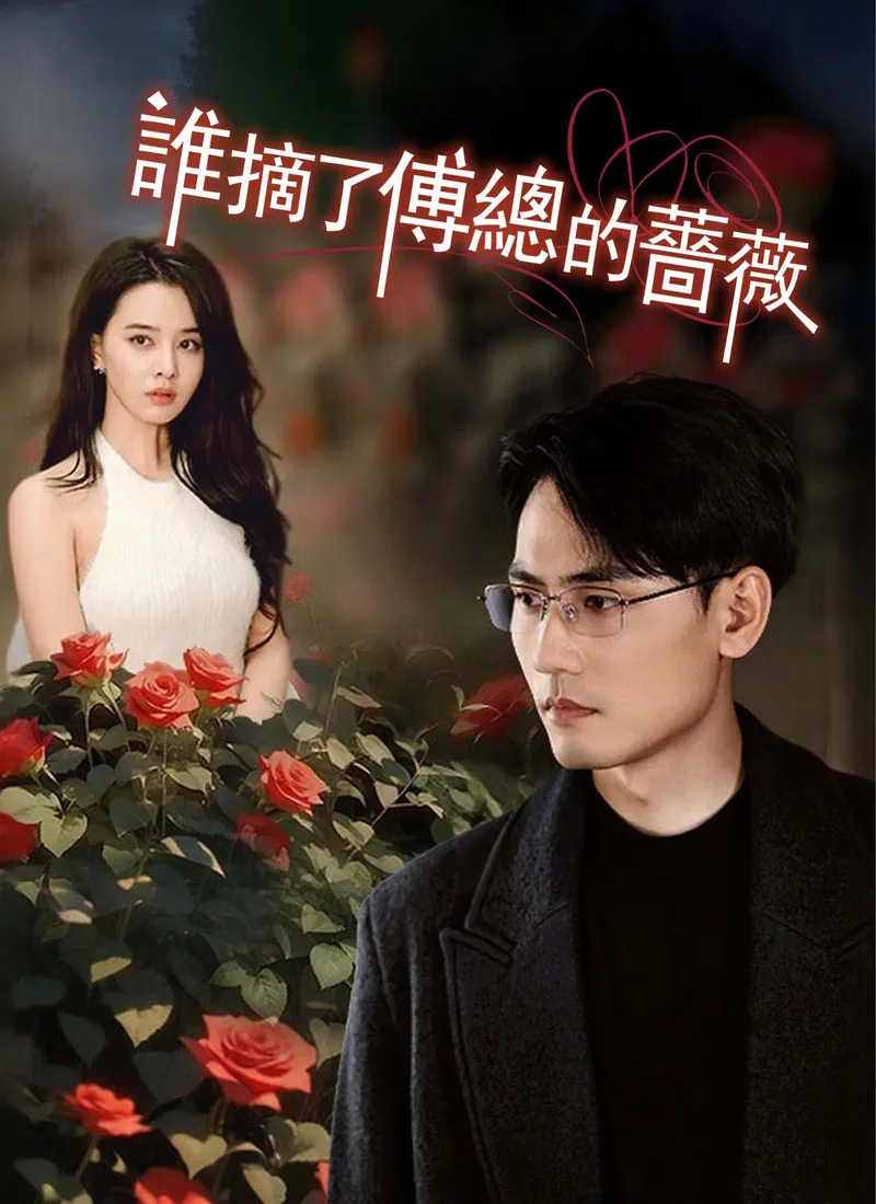 《誰摘了傅總的薔薇》封面
