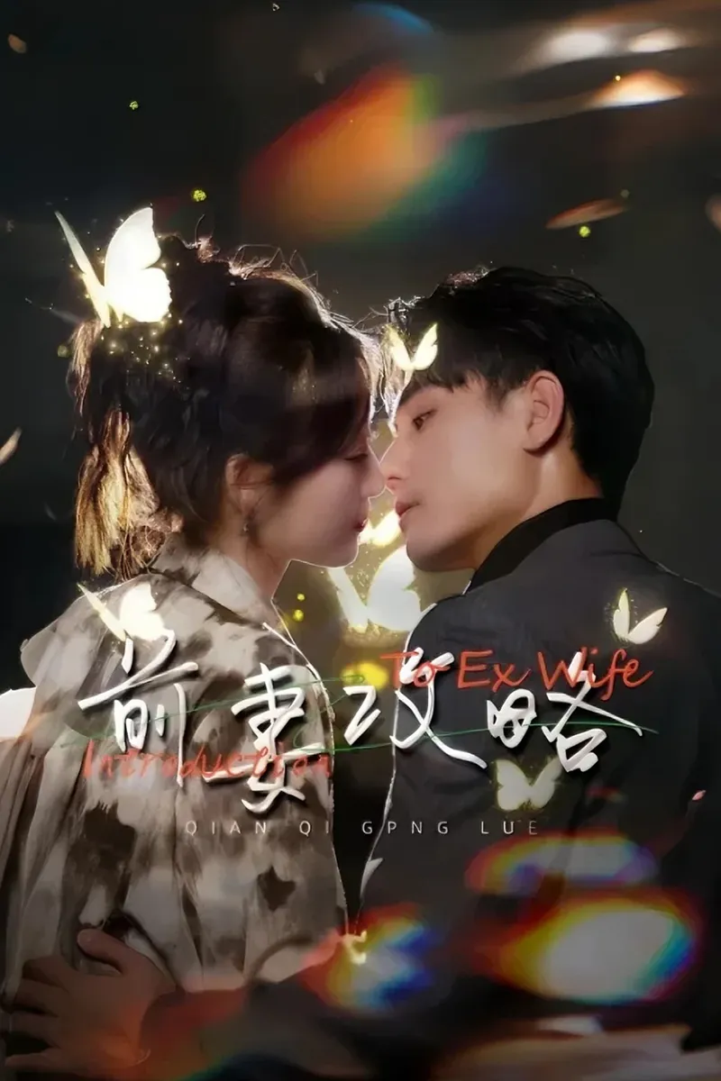《前妻攻略》封面