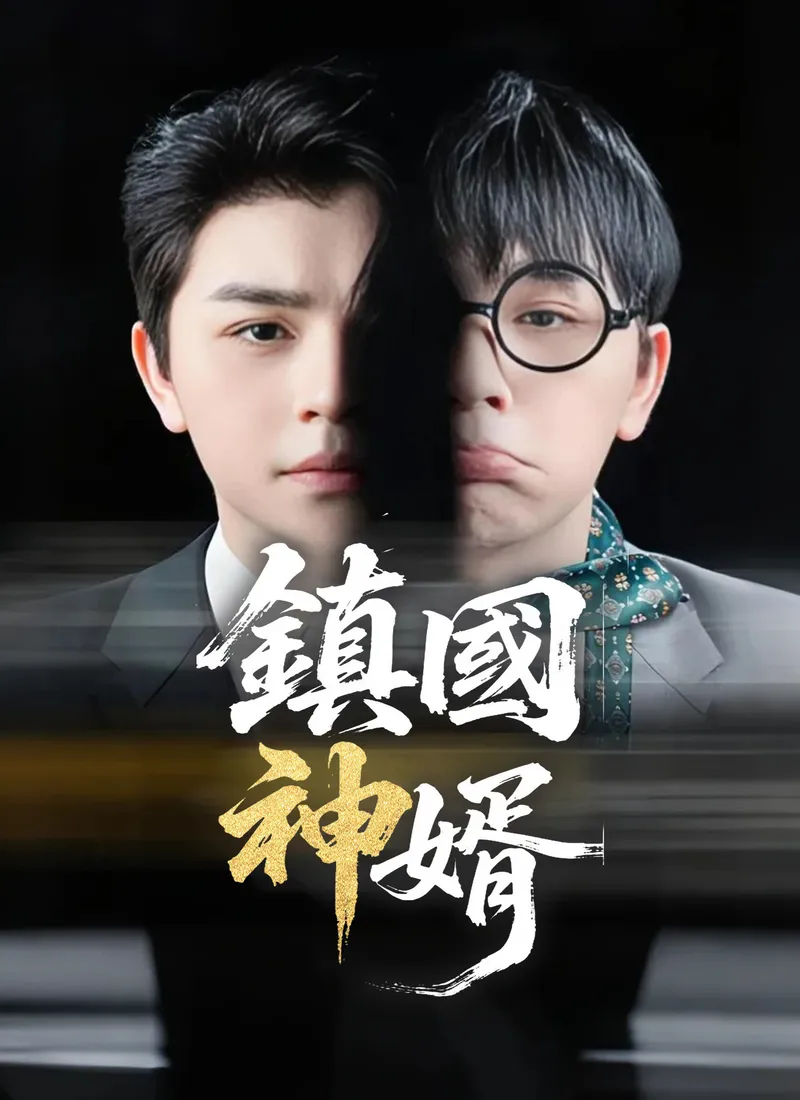 《鎮國神婿》封面