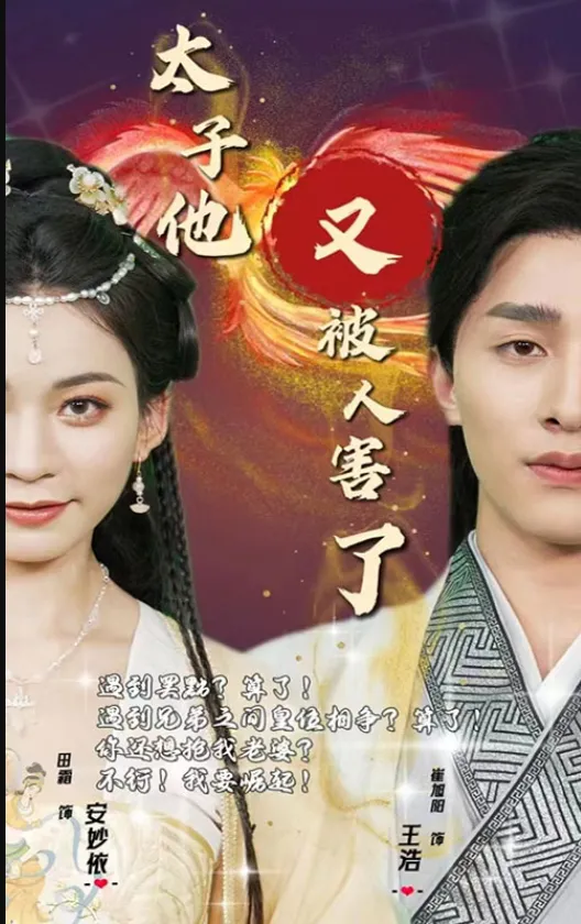 《太子他又被人害了》封面
