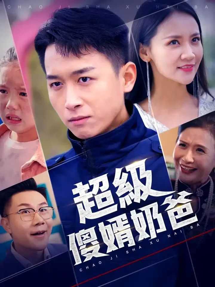 《超級傻婿奶爸》封面