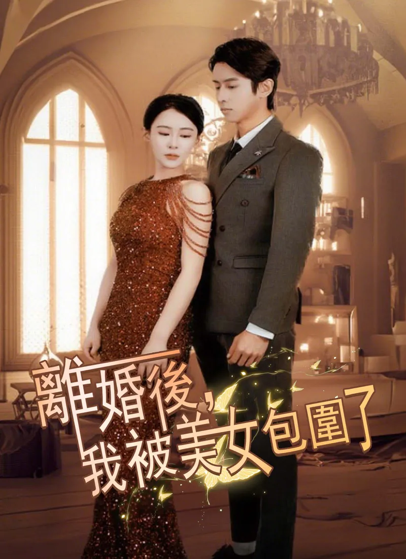 《離婚後，我被美女包圍了》封面