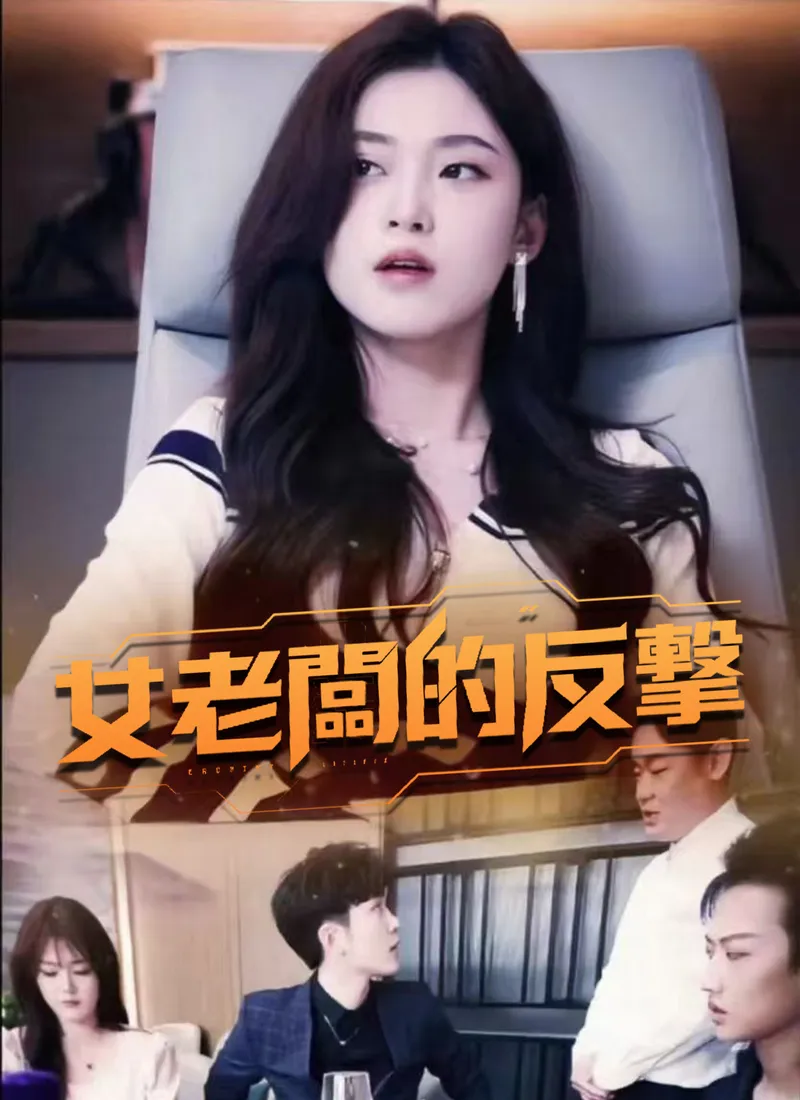 《女老闆的反擊》封面