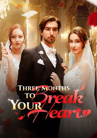Three Months to Break Your Heart cover