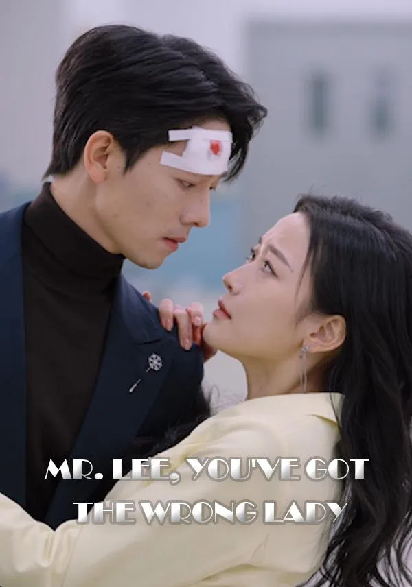 Mr. Lee, You've Got the Wrong Lady cover