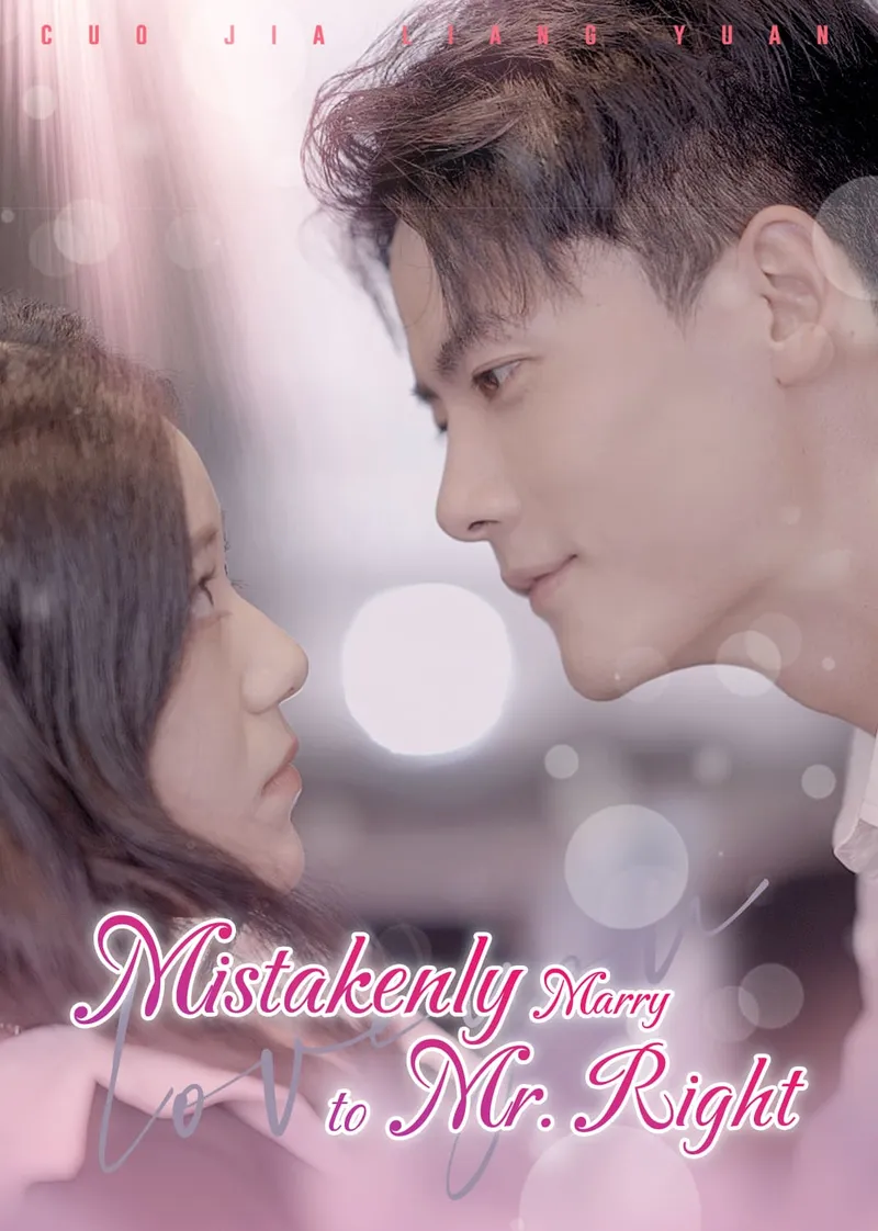Mistakenly Marry to Mr. Right cover