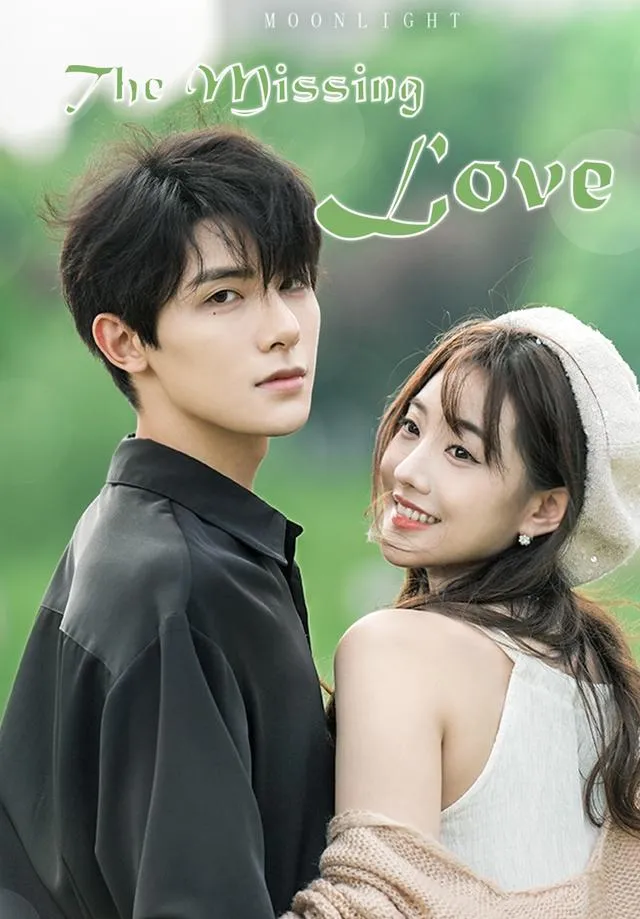 The Missing Love cover