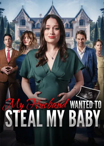 My Husband Wanted to Steal My Baby cover