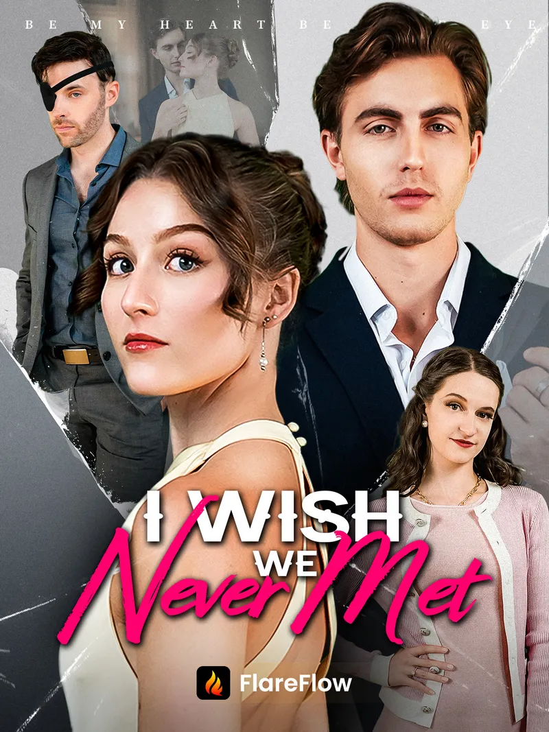 I Wish We Never Met cover