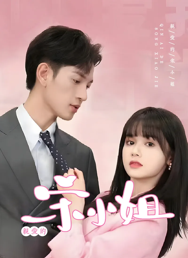《親愛的宋小姐》封面