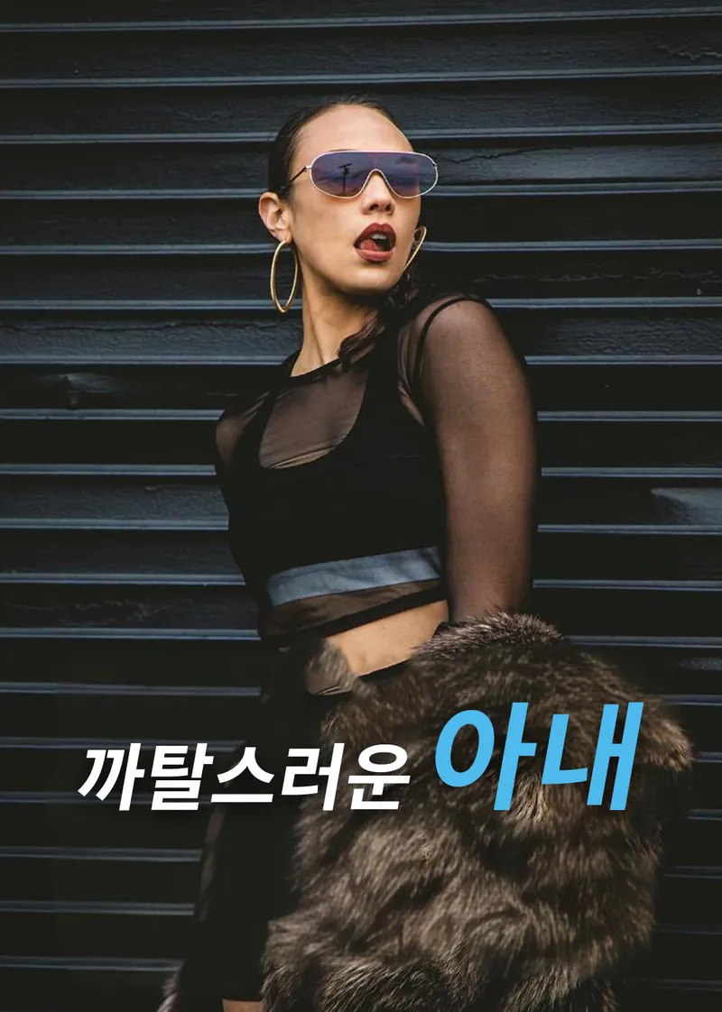 까탈스러운 아내 표지