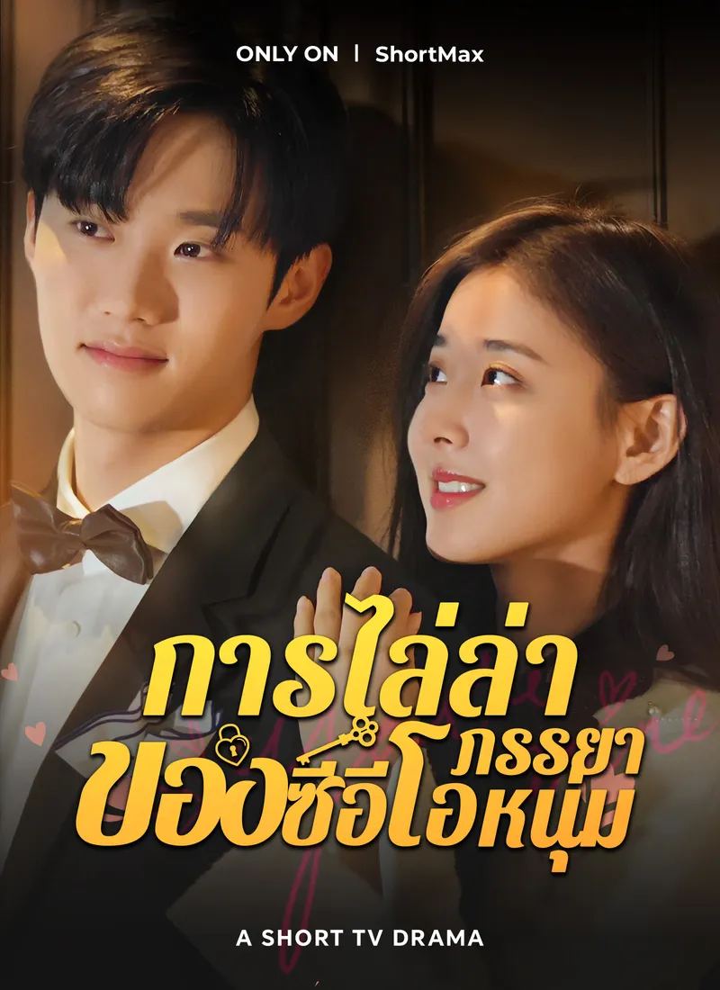 หน้าปกการไล่ล่าภรรยาของซีอีโอหนุ่ม