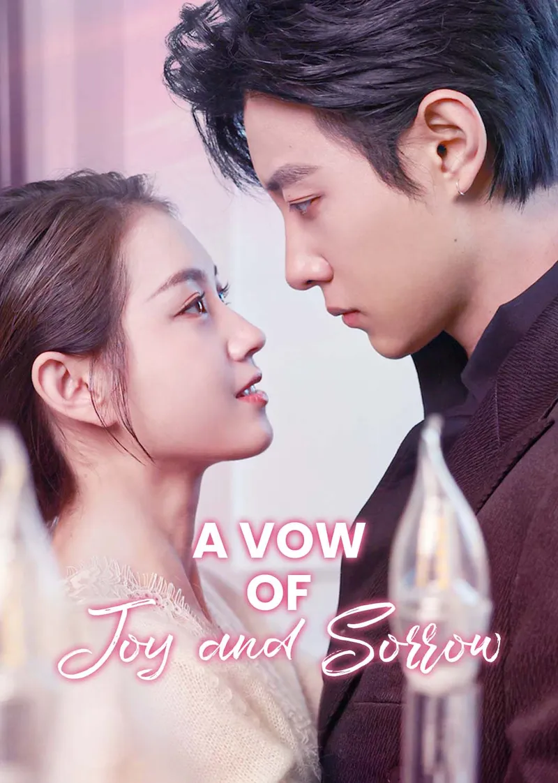 A Vow of Joy and Sorrow cover