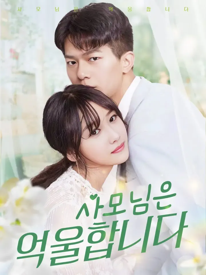 사모님은 억울합니다 표지